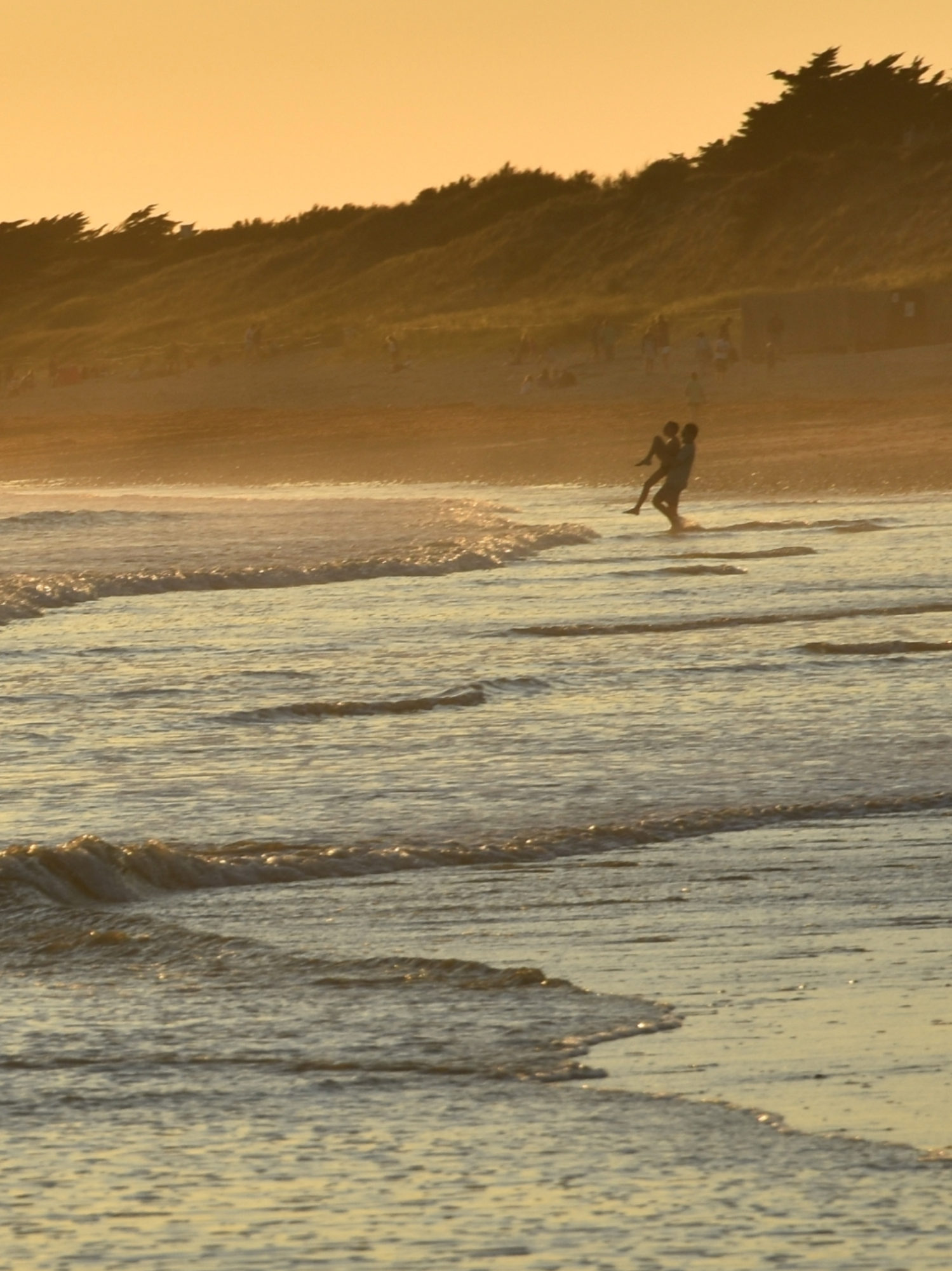 Plage de l'île de ré au couché du soleil