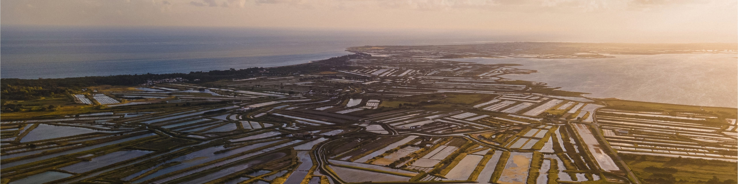 Marais salants de l'île de ré