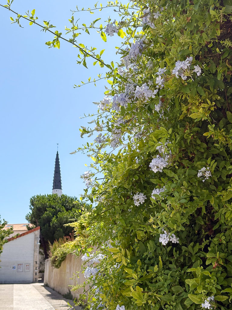 Rue du village d'Ars-(en-Ré avec vu sur le clocher de l'église Saint-Étienne