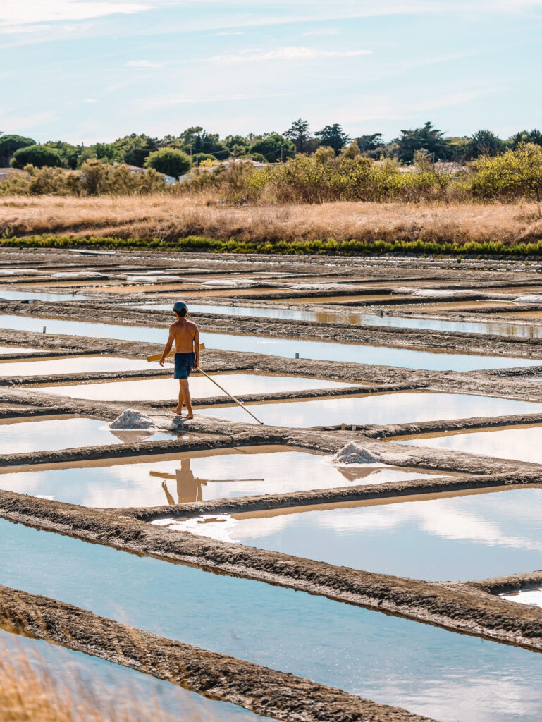 Personne dans les marais salant