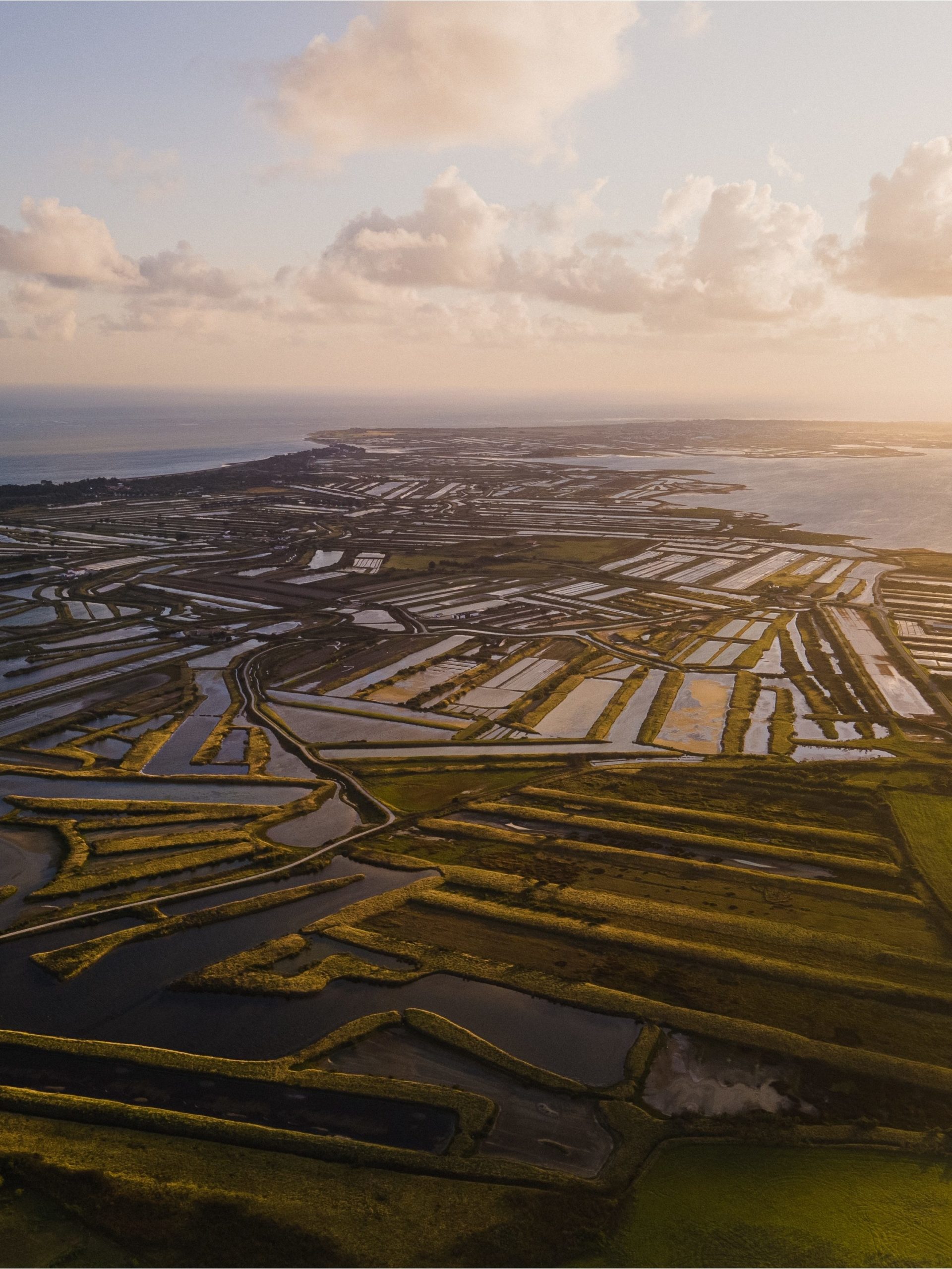Vu aérienne d'une grande partie de l'île de Ré